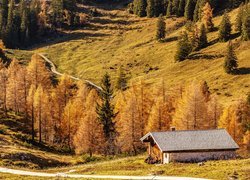 Drewniany dom i droga w Berchtesgaden jesienią
