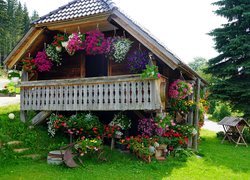 Drewniany, Domek, Weranda, Kwiaty