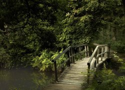 Drewniany mostek nad rzeką w lesie