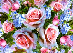 Drobne niebieskie kwiatki pomiędzy różami