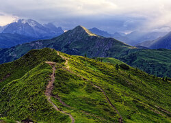 Góry, Dolomity, Przełęcz, Passo di Giau, Droga, Łąka, Prowincja Belluno, Włochy