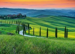 Droga na wzgórzach Toskanii we Włoszech
