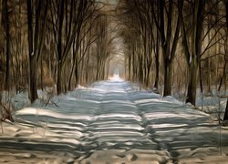 Droga zaśnieżona między drzewami