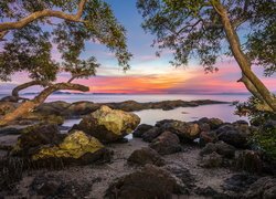 Drzewa, Kamienie, Jezioro, Zatoka Tajlandzka, Zachód słońca, Pattaya, Prowincja Chonburi, Tajlandia