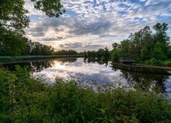 Drzewa i pomost nad rzeką pod chmurami letnią porą