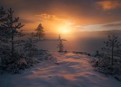 Norwegia, Ringerike, Zima, Zachód słońca, Śnieg, Drzewa, Jezioro
