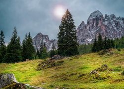 Góry, Drzewa, Polana, Wschód słońca, Dolomity, Włochy