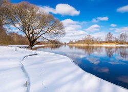 Zima, Drzewa, Rzeka, Emajogi River, Prowincja Tartu, Estonia