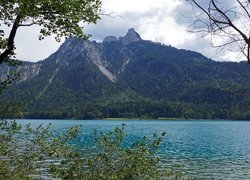 Jezioro, Alpy, Bawaria, Drzewa, Niemcy