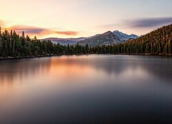 Góry, Drzewa, Świerki, Jezioro Bear Lake, Park Narodowy Gór Skalistych, Stan Kolorado, Stany Zjednoczone