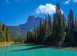 Jezioro, Emerald Lake, Drzewa, Góry Skaliste, Park Narodowy Yoho, Kolumbia Brytyjska, Kanada