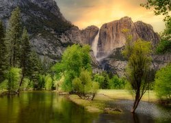 Drzewa nad rzeką w Parku Narodowym Yosemite