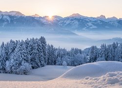 Zima, Góry, Drzewa, Śnieg, Mgła, Poranek, Promienie słońca