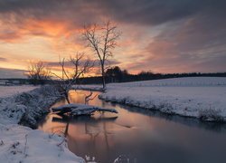 Drzewa w śniegu nad rzeką na tle wschodzącego słońca