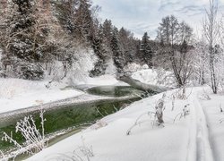 Drzewa w śniegu po obu stronach rzeki