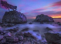 Drzewo na skałach w morzu pod kolorowym niebem