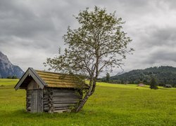 Łąka, Szopa, Drzewo, Góry, Chmury