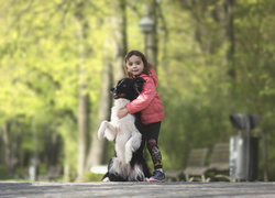 Dziewczynka na spacerze przytula psa border collie