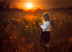 Dziewczynka zbierająca kwiatki na łące o zachodzie słońca