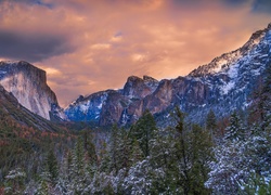 Stany Zjednoczone, Stan Kalifornia, Park Narodowy Yosemite, Dolina Yosemite Valley, Góry, El Capitan, Drzewa, Śnieg