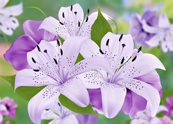 Fioletowe graficzne lilie