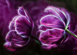Fioletowe tulipany w grafice fractalius