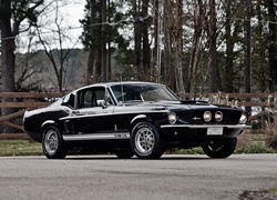 Ford Mustang Shelby GT350 z 1967 roku