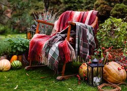 Fotel okryty kocem w ogrodzie obok dyń