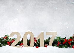 Gałązki na śniegu w nowym 2017 roku