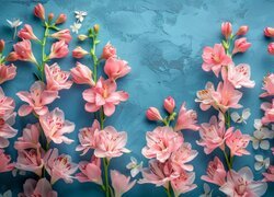 Gałązki z różowymi kwiatkami na niebieskim tle