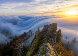Góry, Góra Belchenflue, Mgła, Drzewa, Wschód słońca, Kanton Bazylea, Szwajcaria
