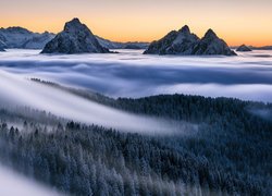 Gęsta mgła unosząca się nad lasami w górach