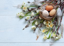 Gniazdo z jajkami na gałązkach wierzbowych i śnieżycach