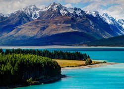 Park Narodowy Góry Cooka, Lasy, Drzewa, Góry, Alpy Południowe, Góra Cooka, Jezioro Pukaki, Wyspa Południowa, Nowa Zelandia