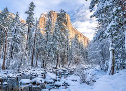 Góra El Capitan w zimowym Parku Narodowym Yosemite