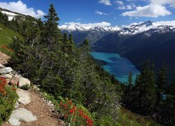 Górska ścieżka w pobliżu jeziora Cheakamus w Kanadzie
