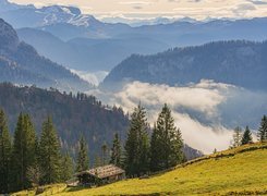 Góry Bayerische Voralpen we mgle