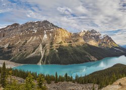 Park Narodowy Banff, Góry, Canadian Rockies, Jezioro, Peyto Lake, Lasy, Drzewa, Alberta, Kanada