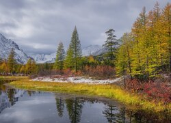 Rosja, Kołyma, Jesień, Rzeka, Potok Nieznany, Ośnieżone, Góry Kołymskie, Drzewa
