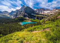 Park Narodowy Glacier, Montana, Stany Zjednoczone, Góry, Jezioro, Drzewa, Rośliny