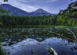 Góry i las odbijają się w jeziorze pokrytym liśćmi