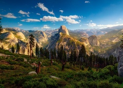 Góry i las w blasku słońca w kalifornijskim Parku Narodowym Yosemite