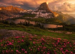 Góry, Lewis Range, Jezioro, Hidden Lake, Łąka, Kwiaty, Chmury, Park Narodowy Glacier, Montana, Stany Zjednoczone