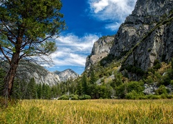 Góry w Parku Narodowym Kings Canyon w Kalifornii
