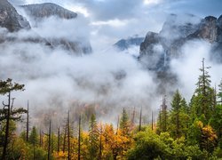 Góry w Parku Narodowym Yosemite we mgle