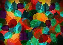 Graficzne kolorowe liście
