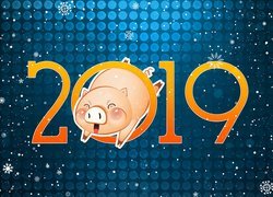 Nowy Rok, 2019, Świnka