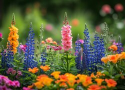 Kwiaty, Kolorowe, Ogród, Grafika