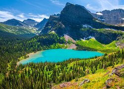 Park Narodowy Glacier, Montana, Stany Zjednoczone, Drzewa, Góry, Jezioro, Grinnell Lake, Rośliny