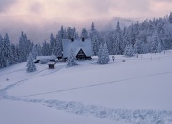 Hala Rycerzowa w Beskidach zimą